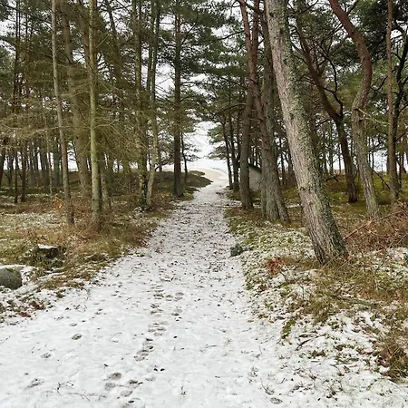2 Bedroom Pet Friendly In Hébergement de vacances Neksø